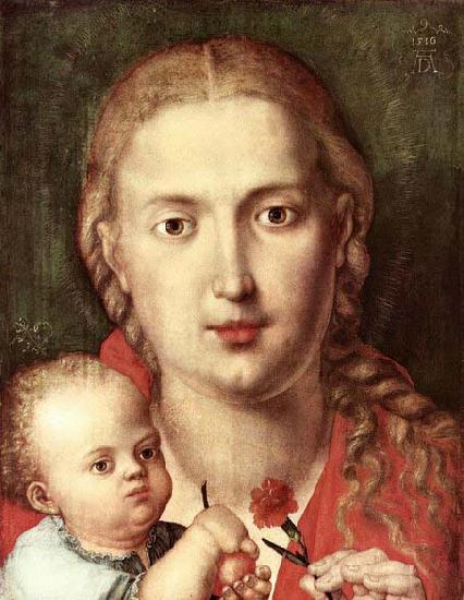 Albrecht Durer The Madonna of the Carnation